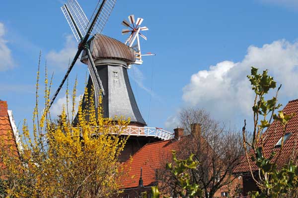 an der muehle im fruehling