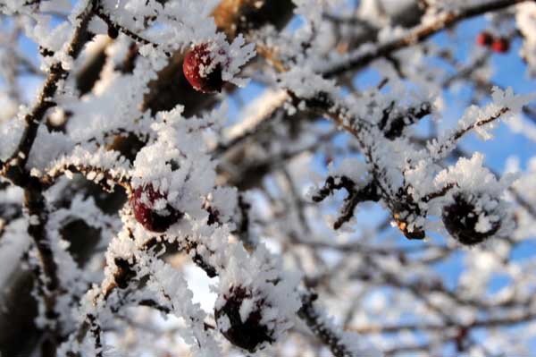 impressionen